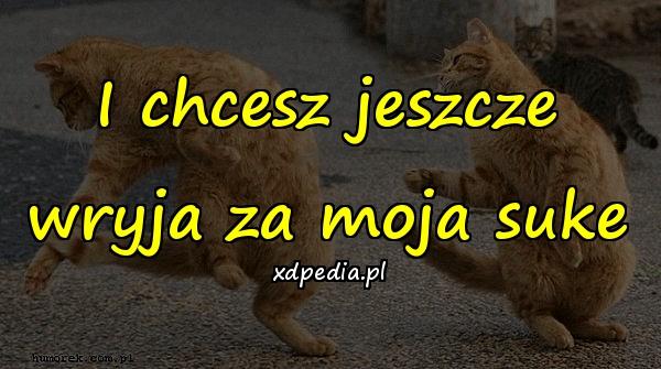 I chcesz jeszcze wryja za moja suke