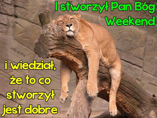 I stworzył Pan Bóg Weekend, i wiedział, że to co stworzył