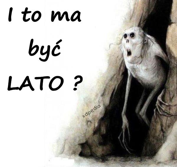 I to ma być LATO