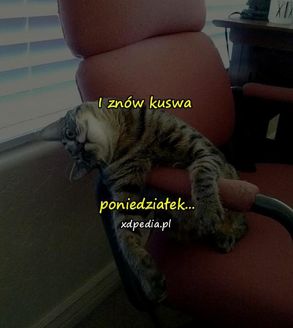 I znów kuswa poniedziałek