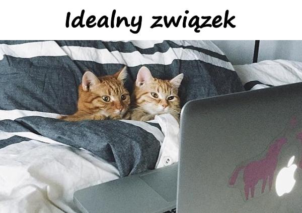 Idealny związek