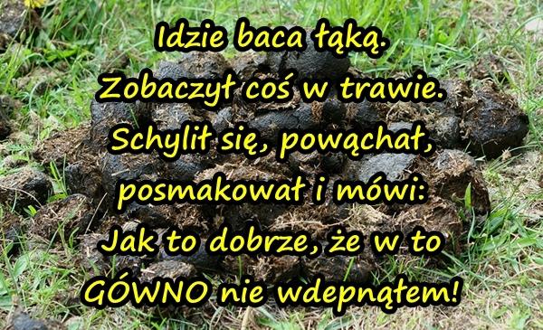 Idzie baca łąką. Zobaczył coś w trawie. Schylił się