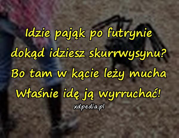 Idzie pająk po futrynie dokąd idziesz skurrwysynu? Bo tam w
