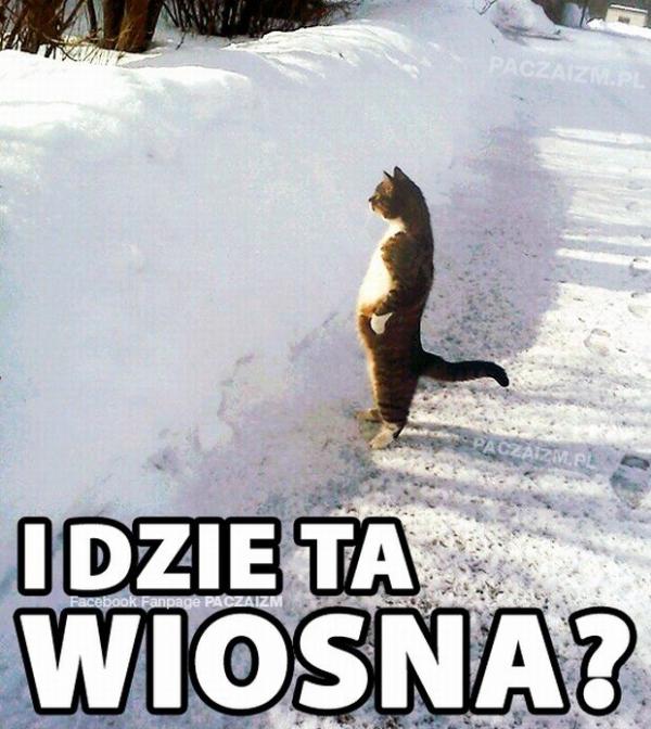 Idzie ta wiosna