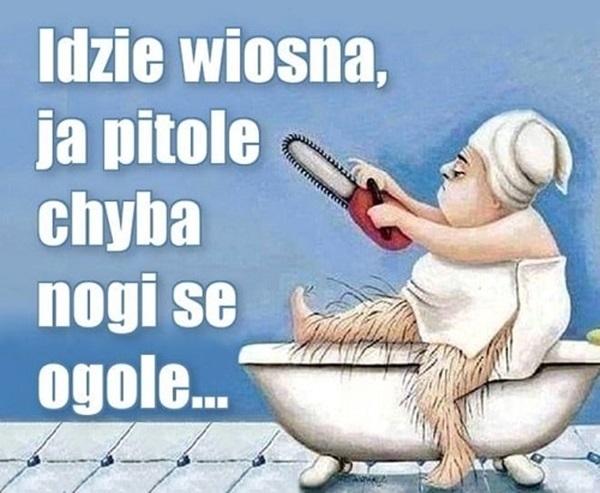 Idzie wiosna ja pitole chyba nogi se ogole