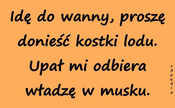 Idę do wanny, proszę donieść kostki lodu. Upał mi odbiera