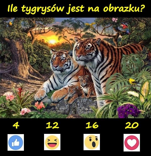 Ile tygrysów jest na obrazku