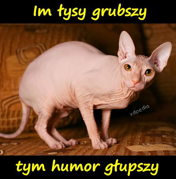 Im łysy grubszy tym humor głupszy