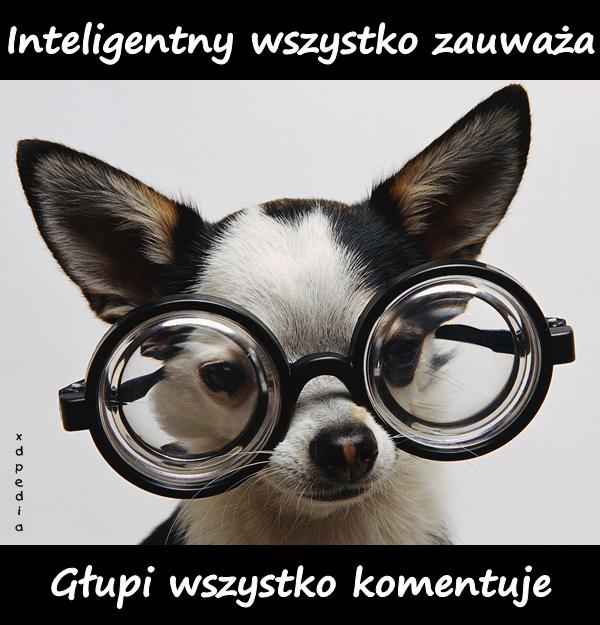 Inteligentny wszystko zauważa. Głupi wszystko komentuje