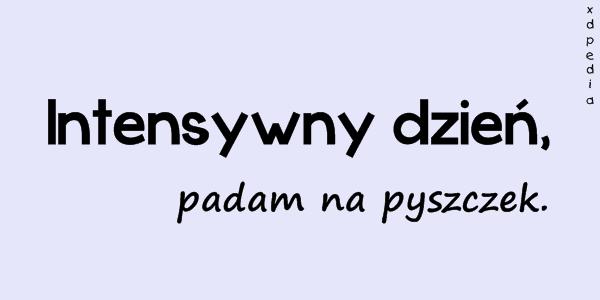 Intensywny dzień, padam na pyszczek