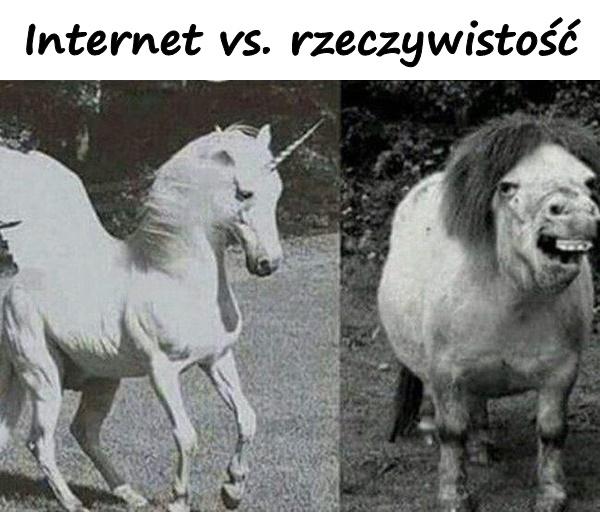 Internet vs. rzeczywistość