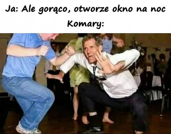 Ja: Ale gorąco, otworze okno na noc Komary