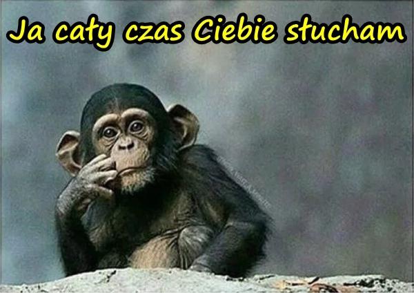 Ja cały czas Ciebie słucham