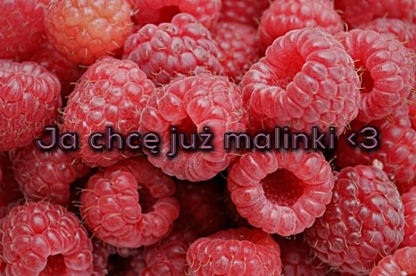 Ja chcę już malinki