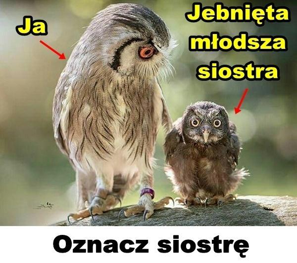 Ja jebnieta młodsza siostra oznac siostre