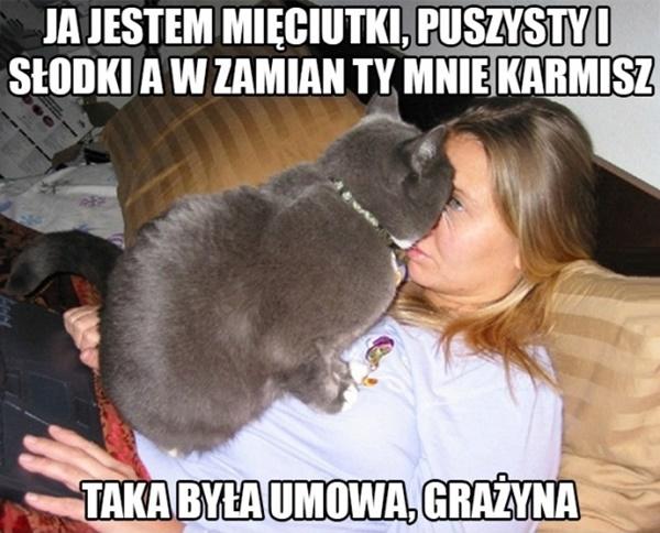 Ja jestem mięciutki, puszysty i słodki, a w zamian ty mnie