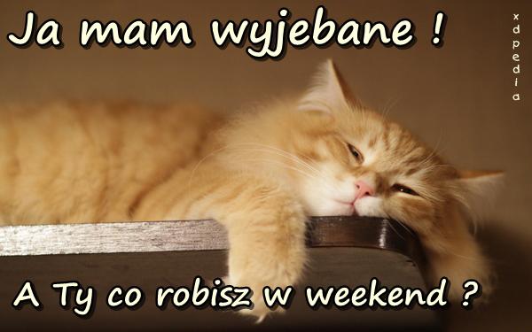 Ja mam wyjebane! A Ty co robisz w weekend