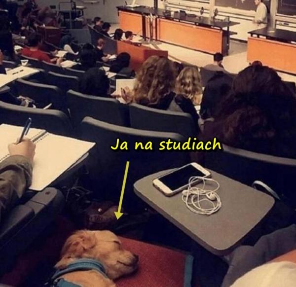 Ja na studiach