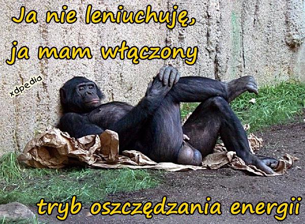 Ja nie leniuchuję, ja mam włączony tryb oszczędzania energii