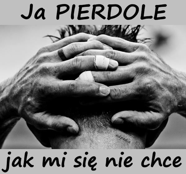 Ja PIERDOLE jak mi się nie chce