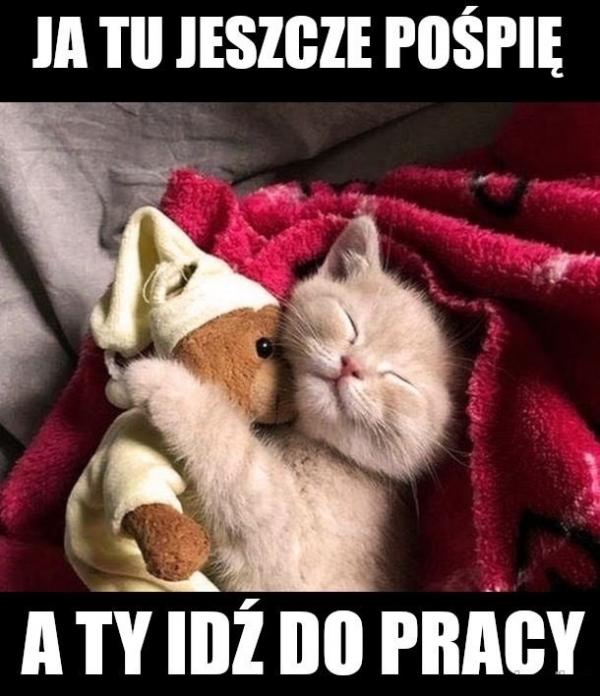 Ja tu jeszcze pośpię, a Ty idź do pracy