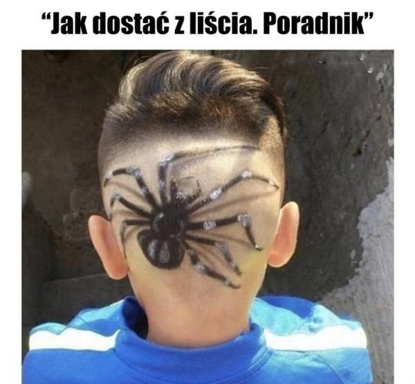 Jak dostać z liścia - poradnik