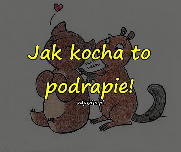 Jak kocha to podrapie