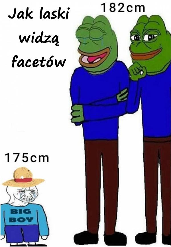 Jak laski widzą facetów