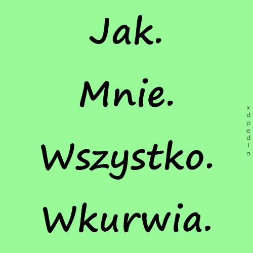 Jak. Mnie. Wszystko. Wkurwia