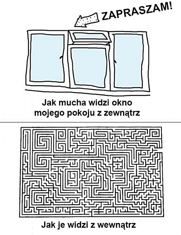 Jak mucha widzi okno mojego pokoju z zewnątrz i od wewnątrz