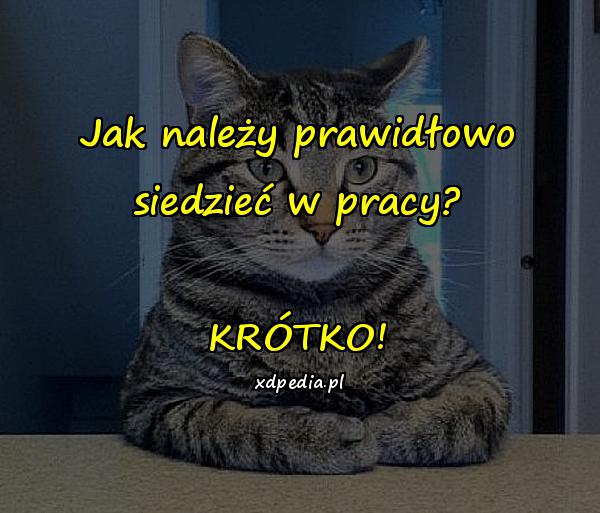 Jak należy prawidłowo siedzieć w pracy? KRÓTKO