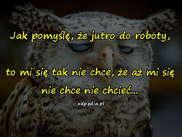 Jak pomyślę, że jutro do roboty, to mi się tak nie chce, że