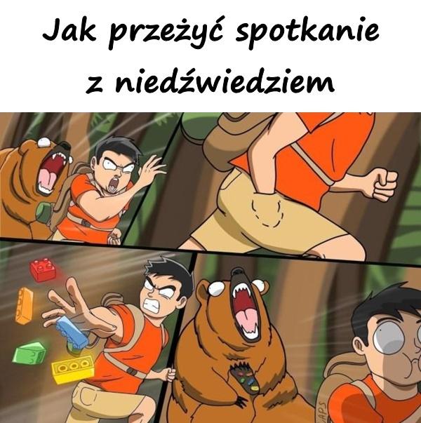 Jak przeżyć spotkanie z niedźwiedziem