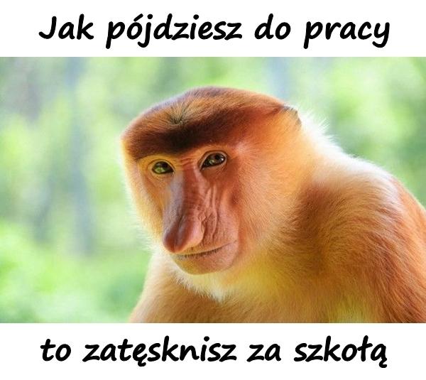 Jak pójdziesz do pracy to zatęsknisz za szkołą