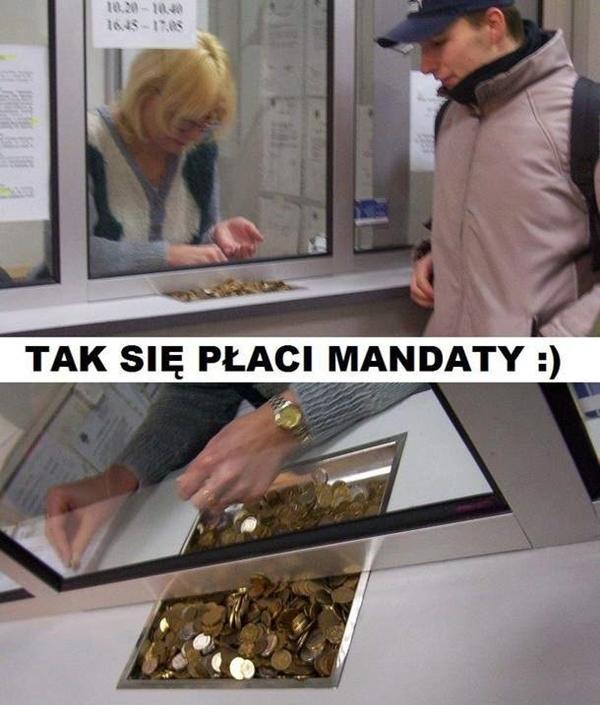 Jak płacić mandaty