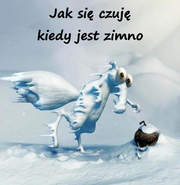 Jak się czuję kiedy jest zimno