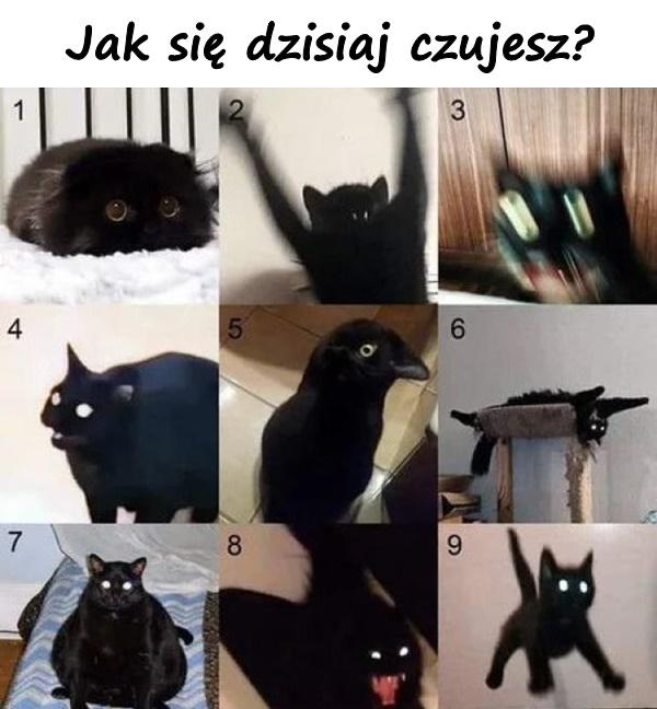 Jak się dzisiaj czujesz