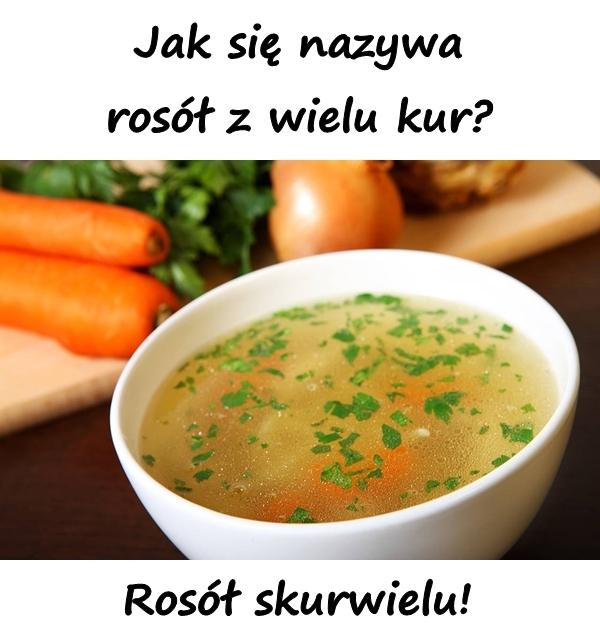 Jak się nazywa rosół z wielu kur? Rosół skurwielu