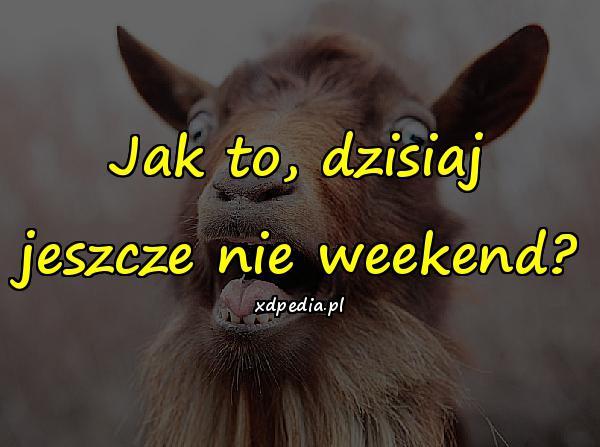 Jak to, dzisiaj jeszcze nie weekend