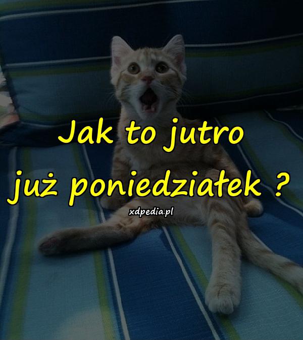 Jak to jutro już poniedziałek