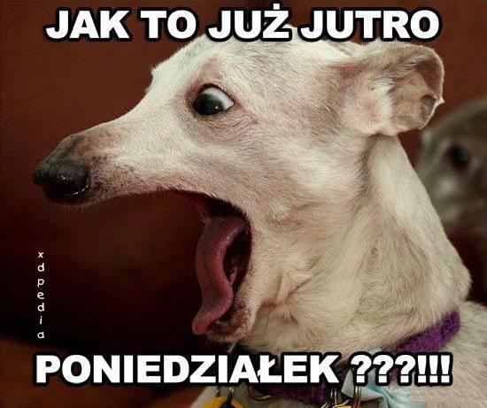 Jak to już jutro poniedziałek