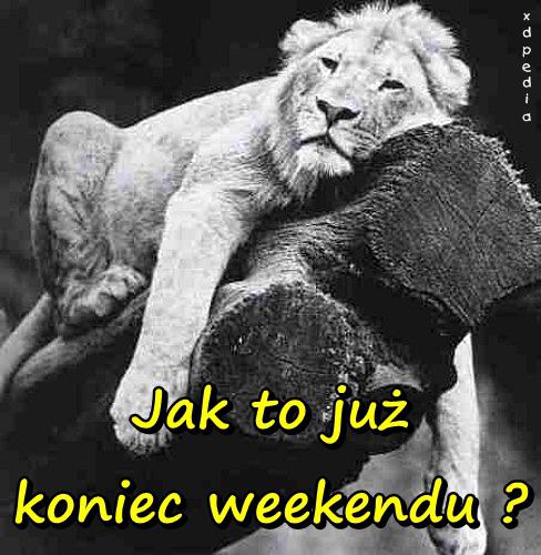 Jak to już koniec weekendu