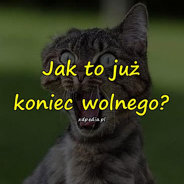 Jak to już koniec wolnego