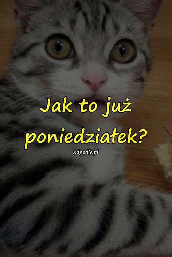 Jak to już poniedziałek