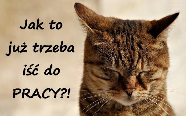 Jak to już trzeba iść do PRACY