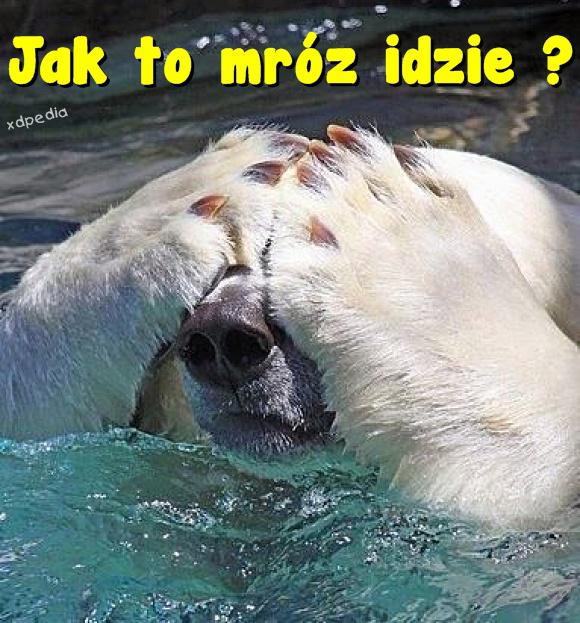 Jak to mróz idzie