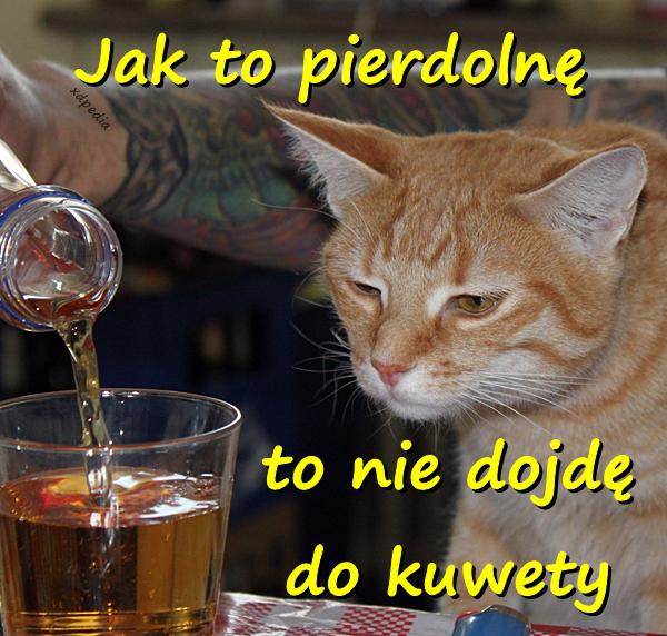 Jak to pierrdolnę, to nie dojdę do kuwety