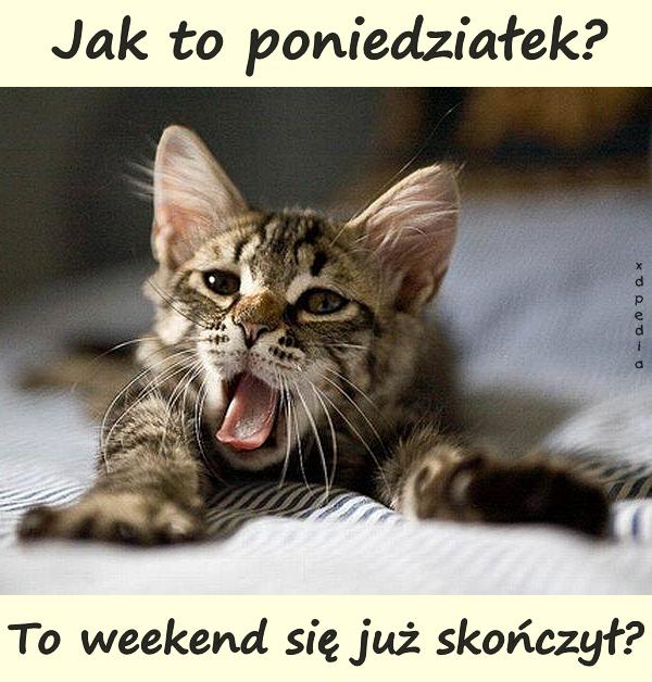 Jak to poniedziałek? To weekend się już skończył