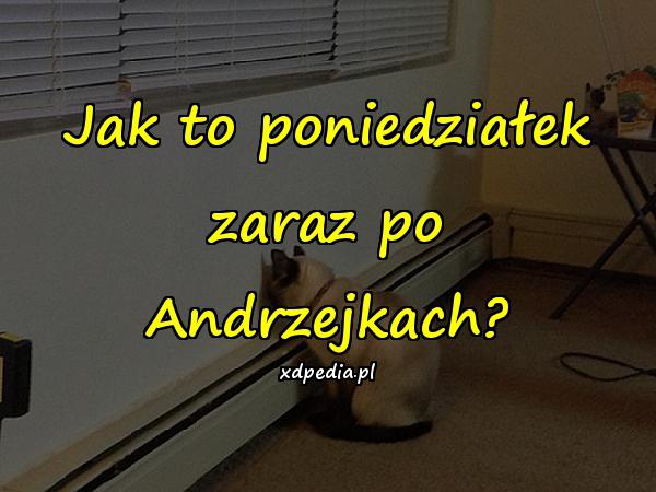 Jak to poniedziałek zaraz po Andrzejkach