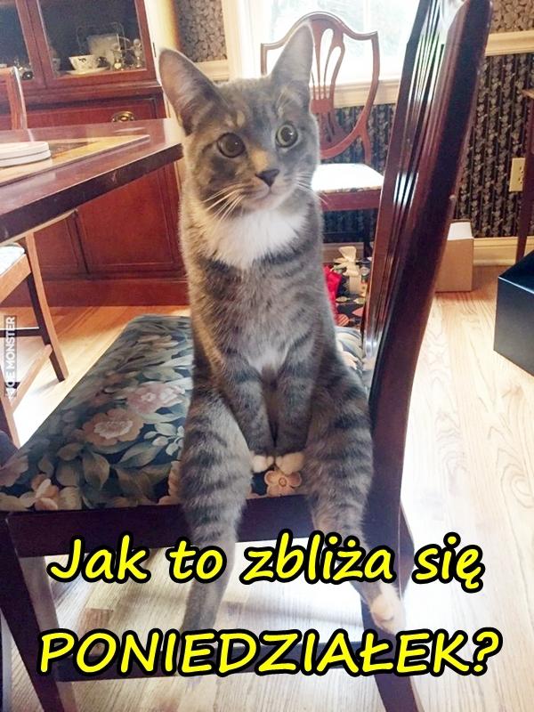 Jak to zbliża się PONIEDZIAŁEK